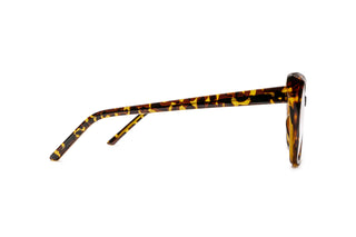 8500300720 Tortoise image-2