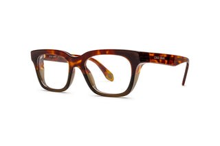8810100890 Tortoise image-3