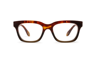 8810100890 Tortoise image-1