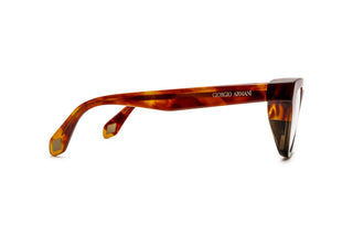 8810100890 Tortoise image-2
