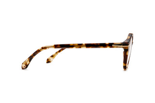 8810101140 Tortoise image-2