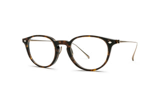 8810101170 Tortoise/Gold image-3