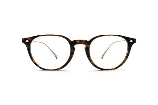 8810101170 Tortoise/Gold image-1