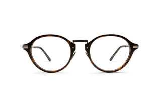8810101350 Tortoise/Silver image-1