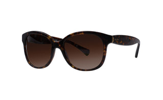 8870100610 Tortoise image-3