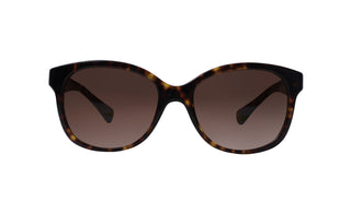 8870100610 Tortoise image-1