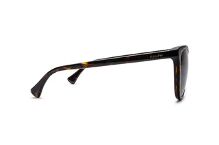 8870100820 Tortoise image-2