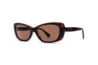 8870101900 Tortoise image-3