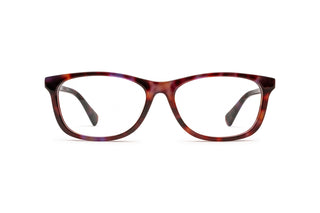 8870102030 Tortoise image-1