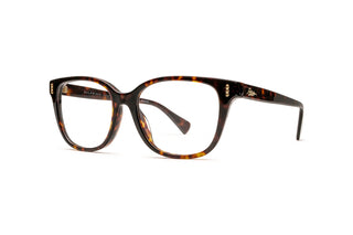8870102440 Tortoise image-3