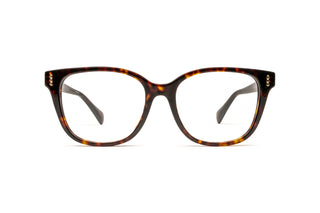 8870102440 Tortoise image-1