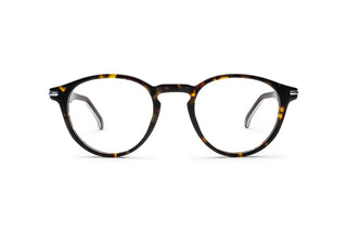 8910302670 Tortoise image-1