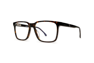 8910304780 Tortoise image-3