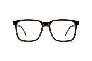 8910304780 Tortoise image-1