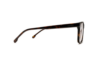 8910304780 Tortoise image-2