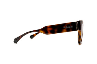 8920102110 Tortoise/Black image-2