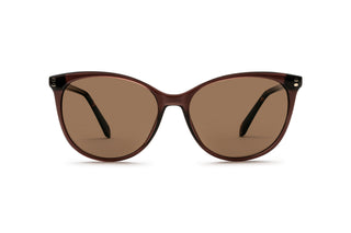 8920103050 Brown image-1