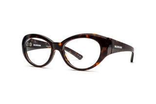 8970100420 Tortoise image-3