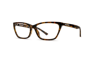 8970100900 Tortoise image-3