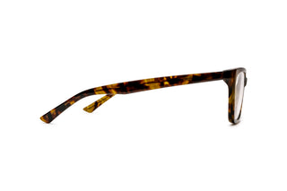 8970100900 Tortoise image-2