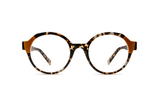 9040103840 Tortoise image-1