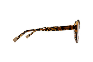 9040103840 Tortoise image-2