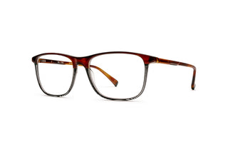 9040104330 Tortoise image-3