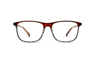 9040104330 Tortoise image-1
