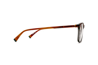 9040104330 Tortoise image-2