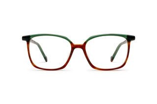 9040104560 Tortoise/Green image-1