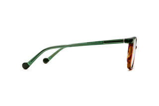 9040104560 Tortoise/Green image-2