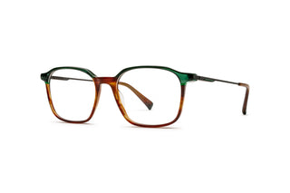 9040104600 Tortoise/Gunmetal/Green image-3