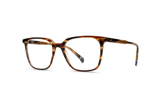 9040104780 Tortoise image-3