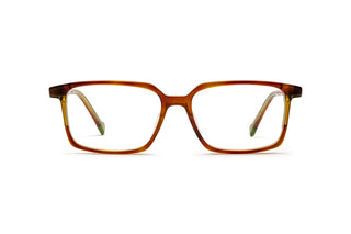 9040105010 Tortoise image-1