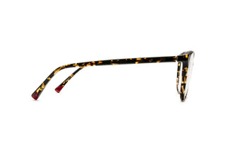 9040105170 Tortoise image-2