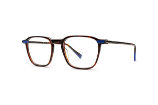 9040106140 Tortoise image-3