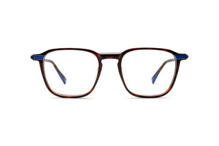 9040106140 Tortoise image-1