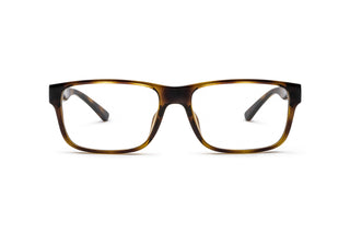 9850100470 Tortoise image-1