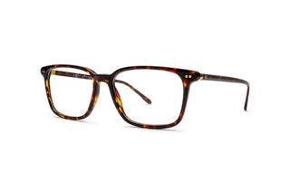 9850100880 Tortoise image-3