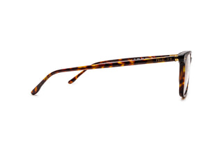 9850100880 Tortoise image-2