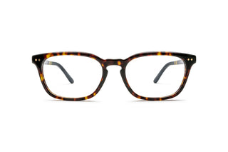 9850101710 Tortoise image-1