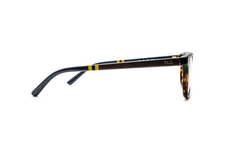 9850101710 Tortoise image-2