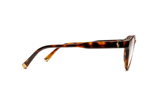 9850101910 Tortoise image-2